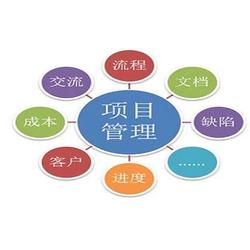 企業(yè)管理咨詢服務(wù) 管理咨詢服務(wù) 信恒新市場研究咨詢機(jī)構(gòu)