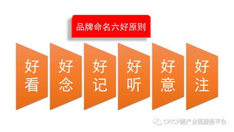 肖一刀 從無到有，打造豬肉品牌的戰略與啟示